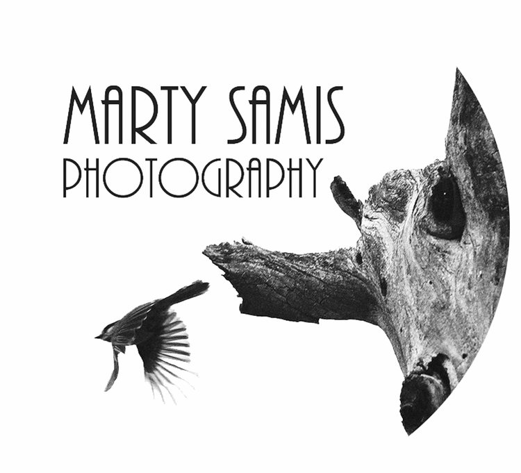 Marty Samis Photography