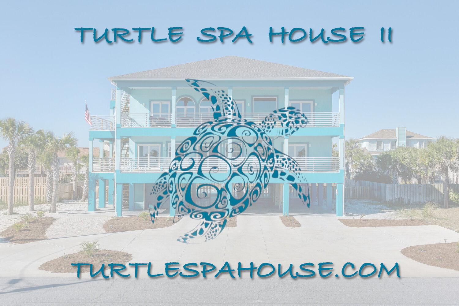Turtle Spa II House