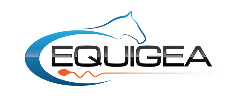 Equigea