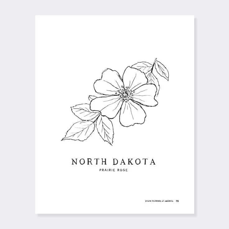 North Dakota State Flower Coloring Page | Best Flower Site