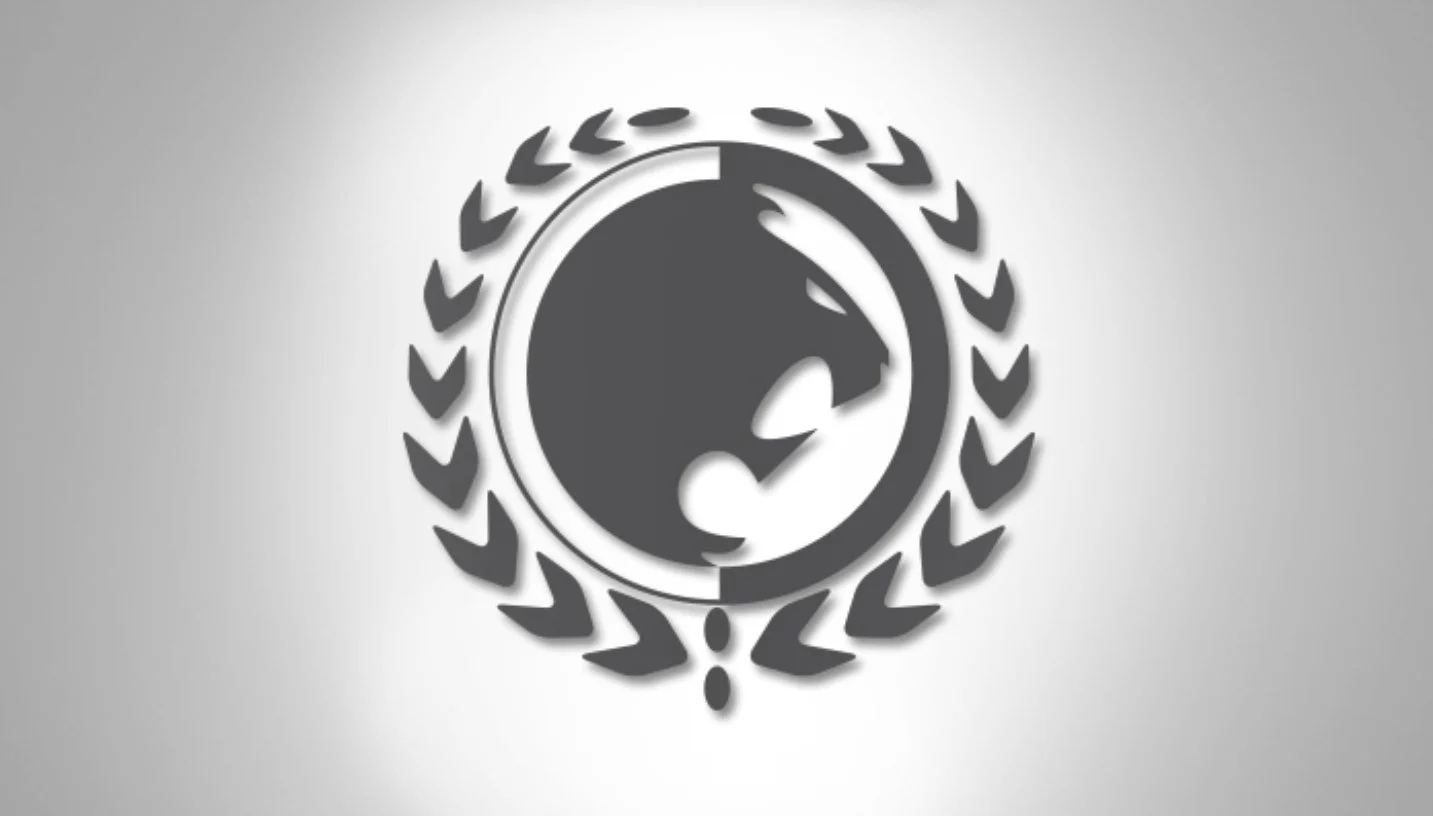 Renzo Gracie BJJ