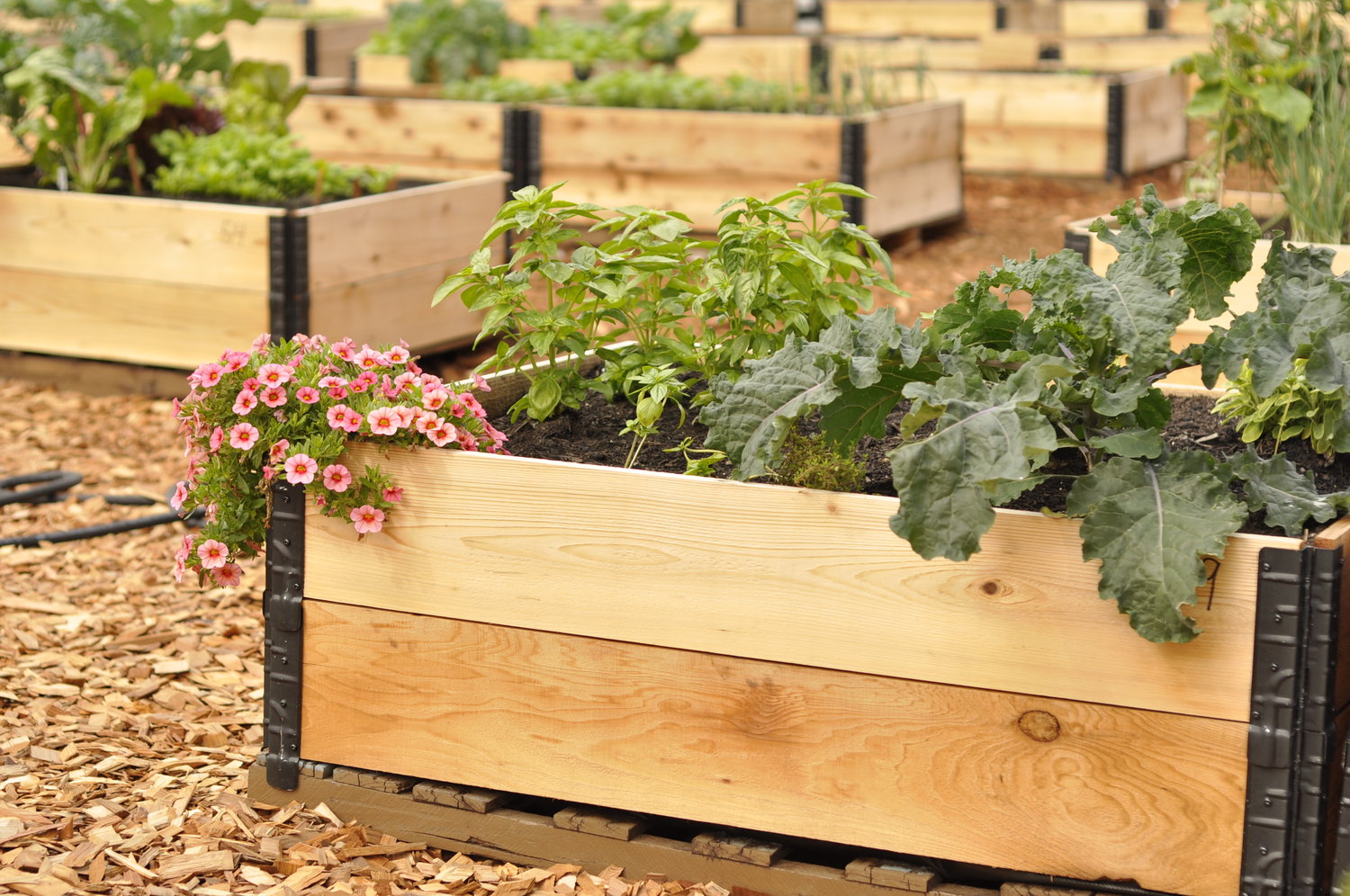 Pallet Garden Bed Full Community Garden Builders