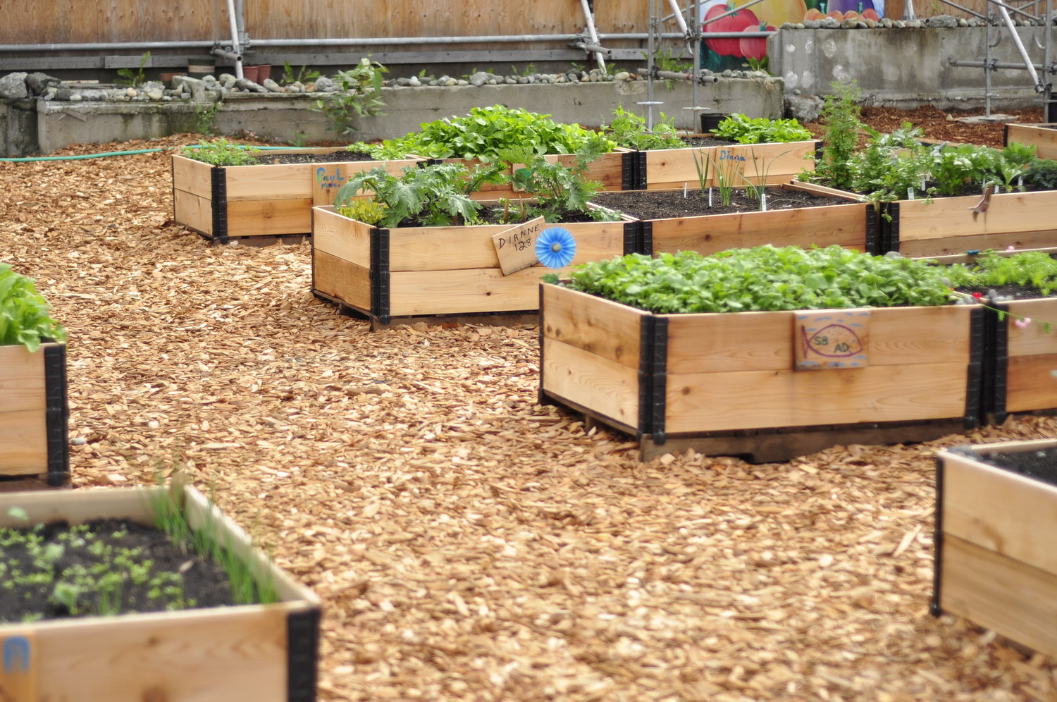 Pallet Garden Bed Full Community Garden Builders