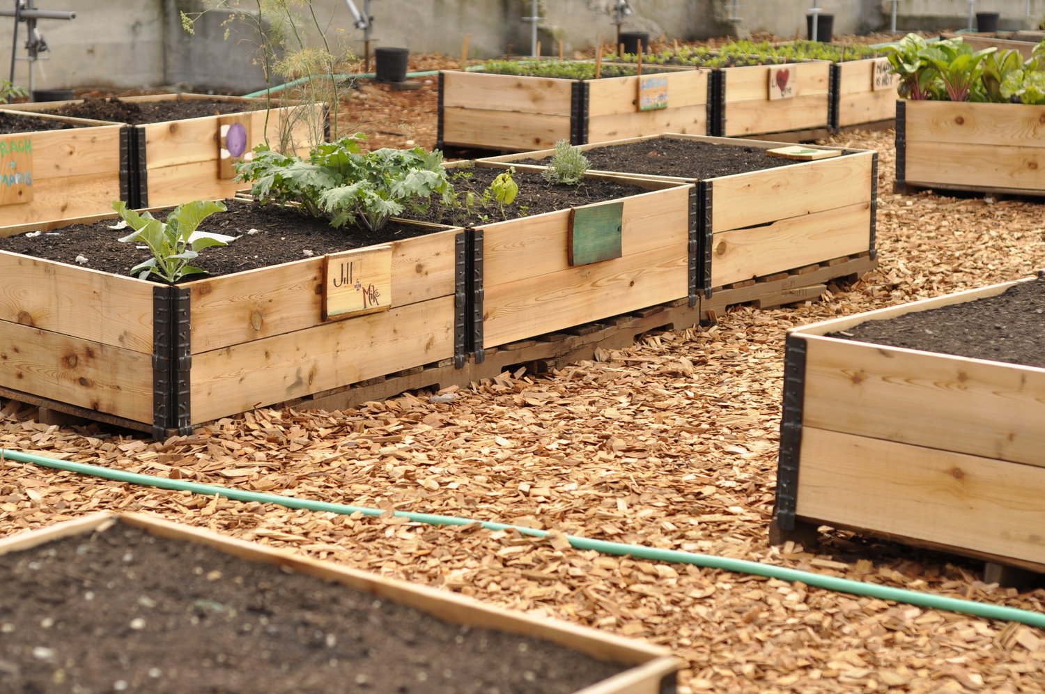 Pallet Garden Bed Full Community Garden Builders
