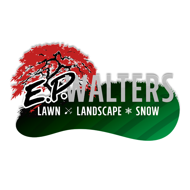 EP Walters Lawn - Landscape - Snow