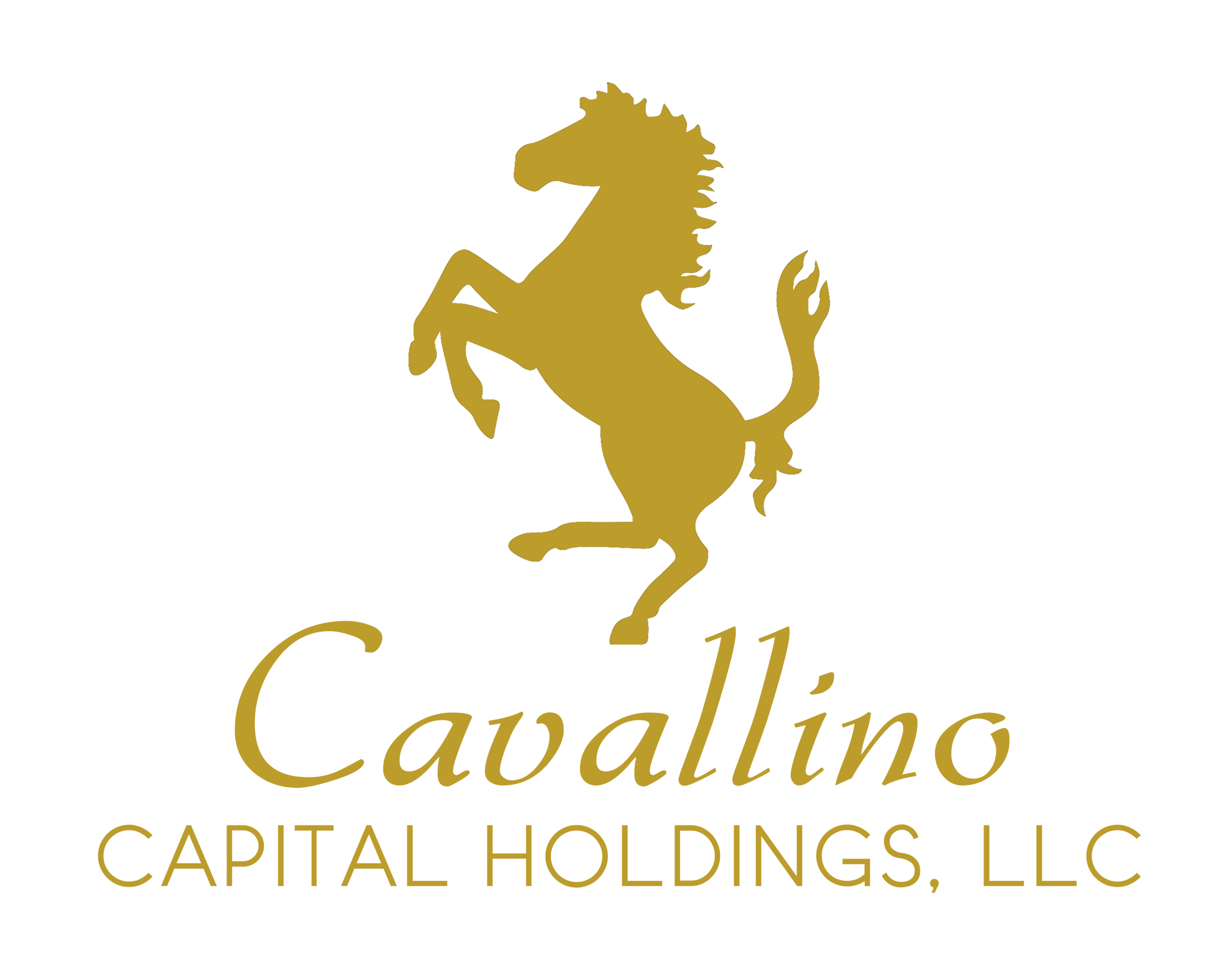 Cavallino