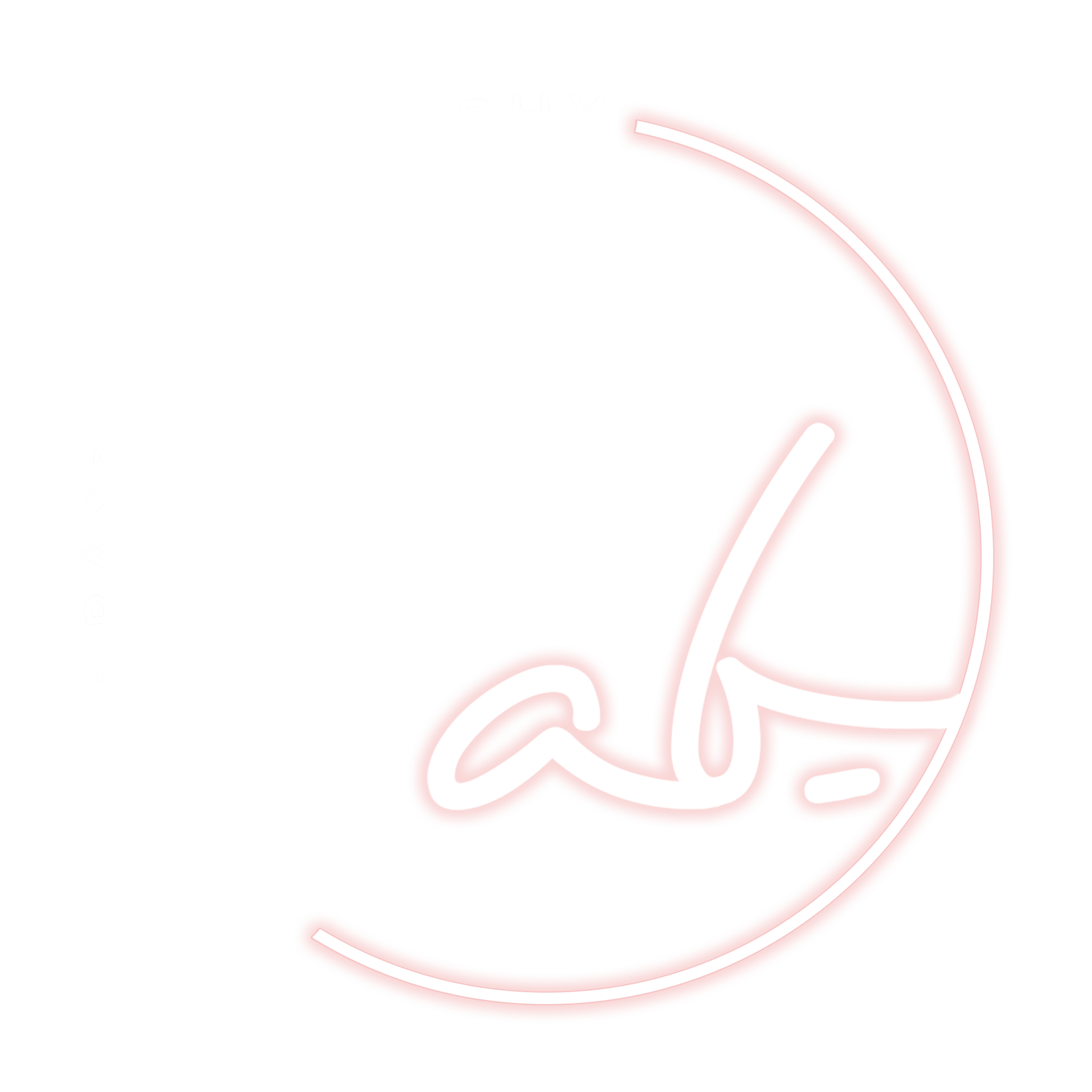 The Ashley Bass | Photographer | Videographer | Educator | Communication Coach