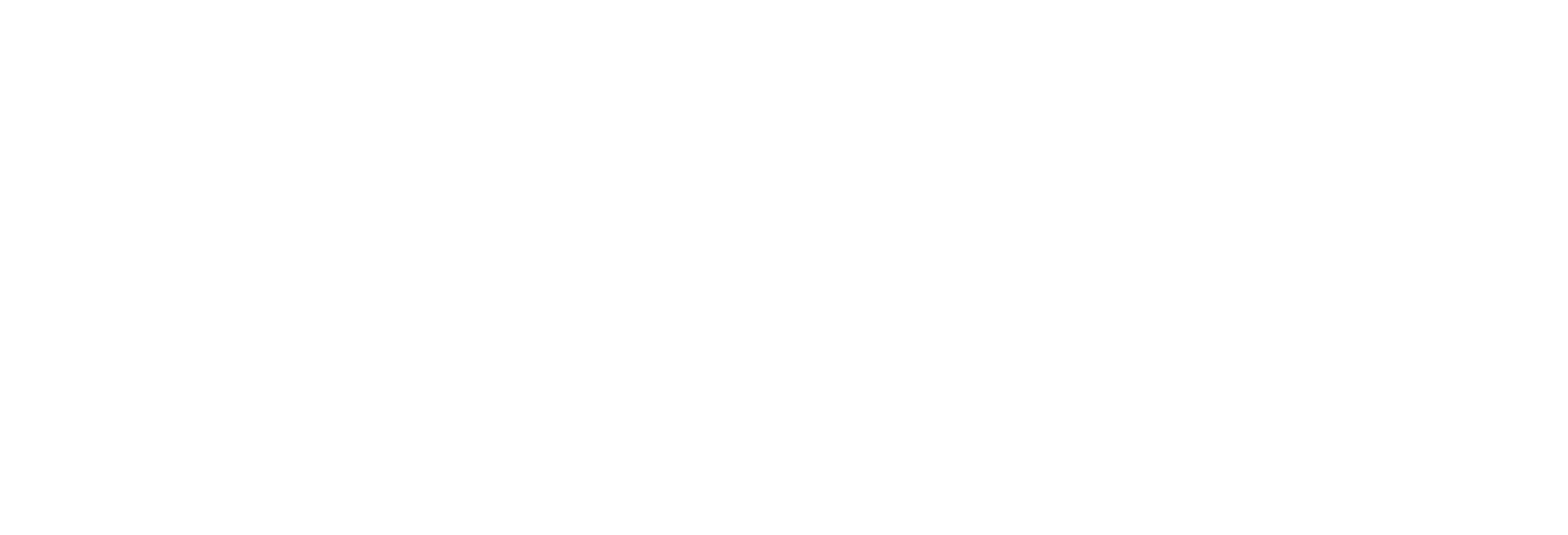 Silk Bow Group