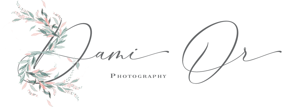  Washington, D.C. Wedding Photographer | Dami Or Photography