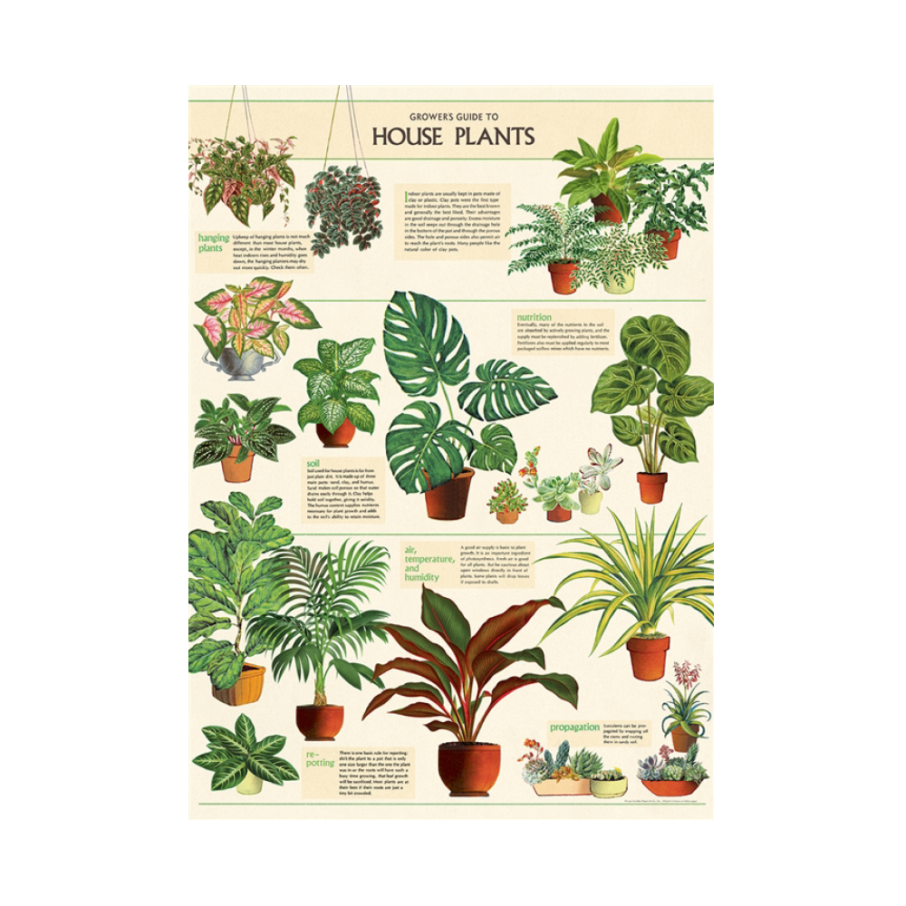 house plants poster — kaufmannsladen