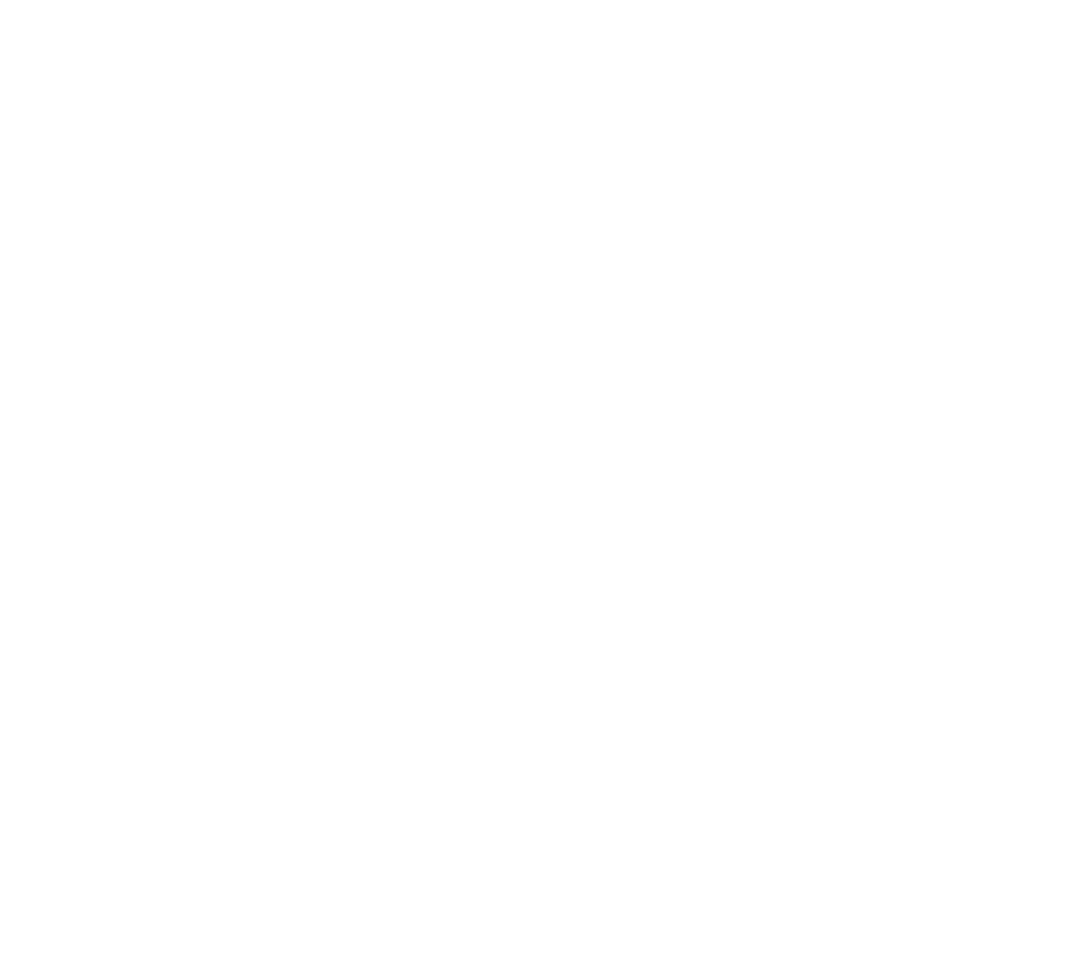 The Double Edged Experience 