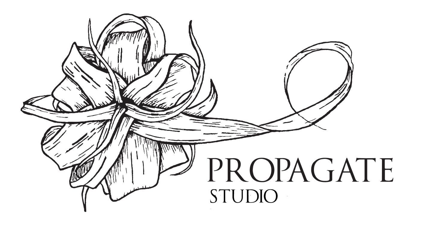 Propagate Studio