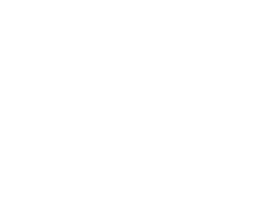 Jauz