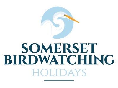 Somerset Birdwatching Holidays