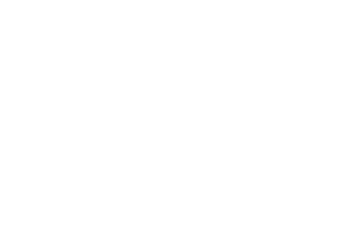 TONE TROY