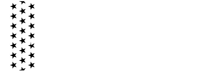 Team Some Assembly Required