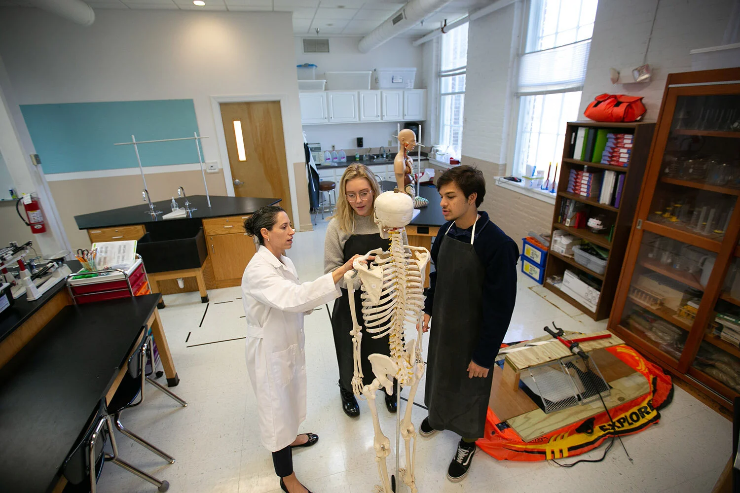 anatomystory8.jpg