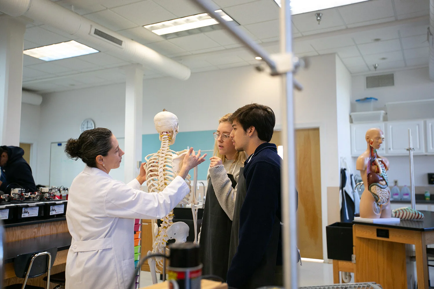 anatomystory7.jpg