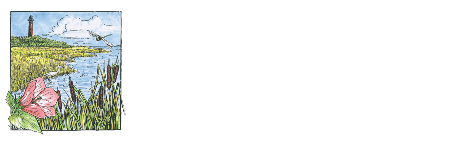 Coastal Explorations