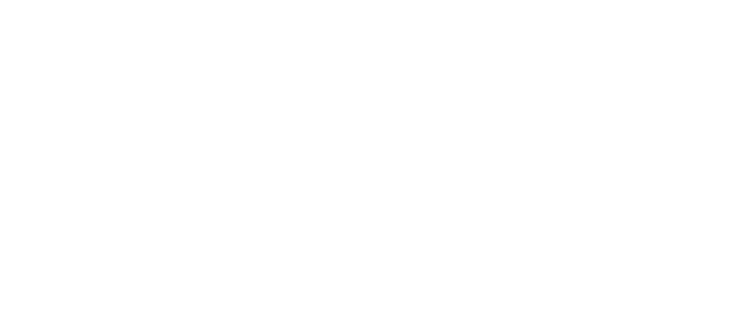 Echo Salon
