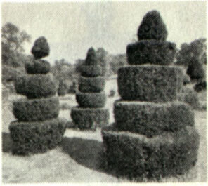 topiary.land