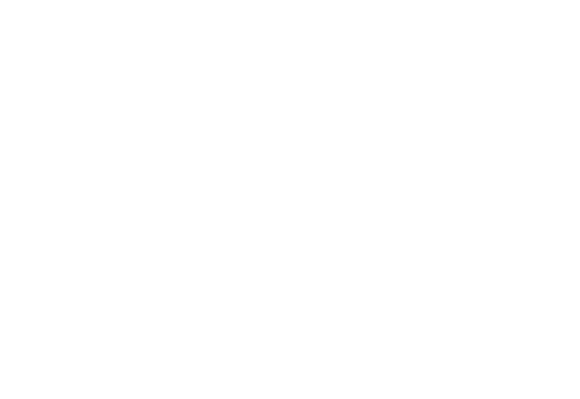  The Savory Gourmet