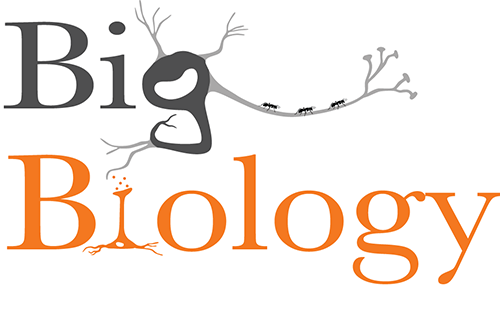 最终版本logo2.png