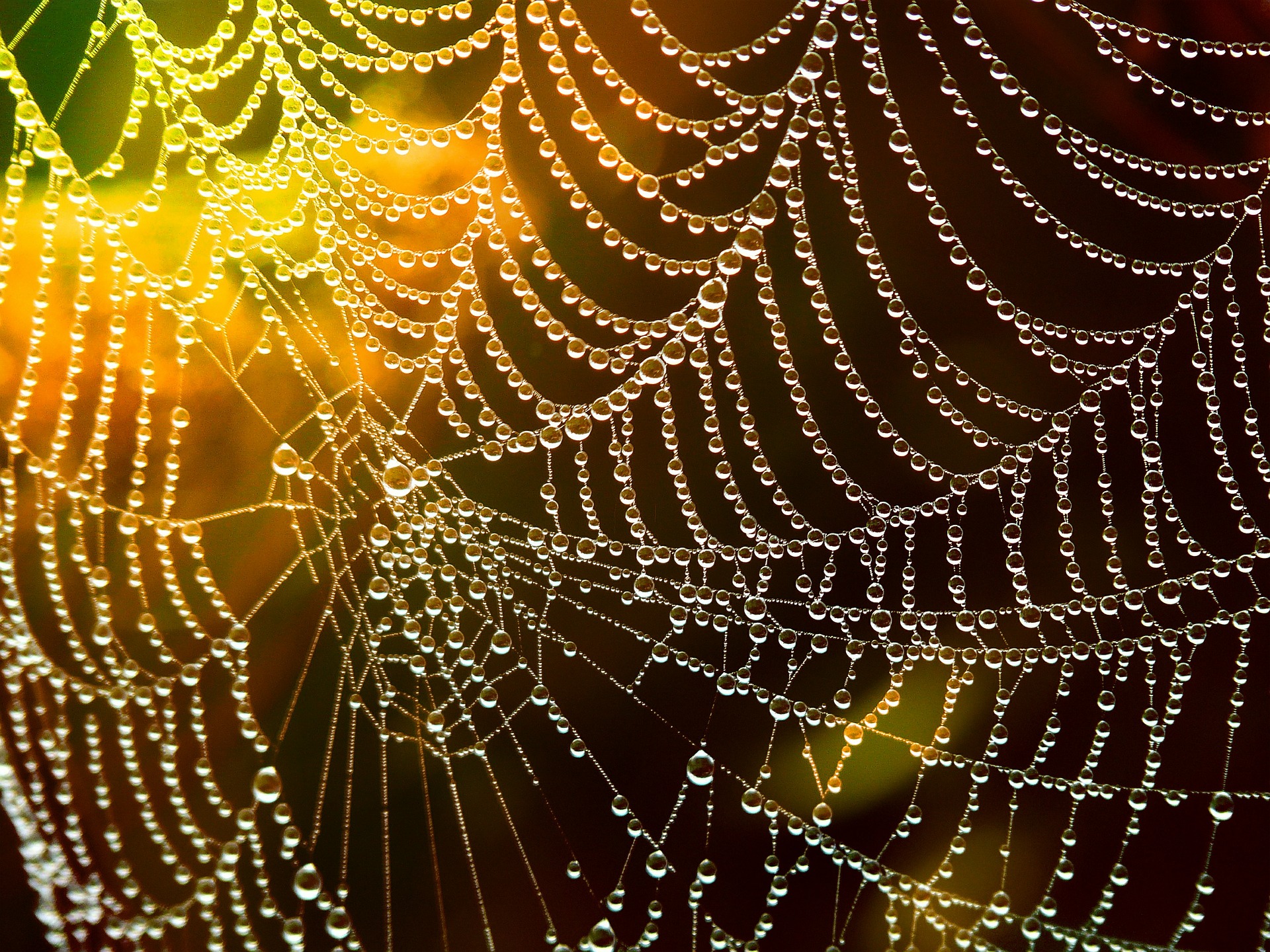 web-586177_1920.jpg