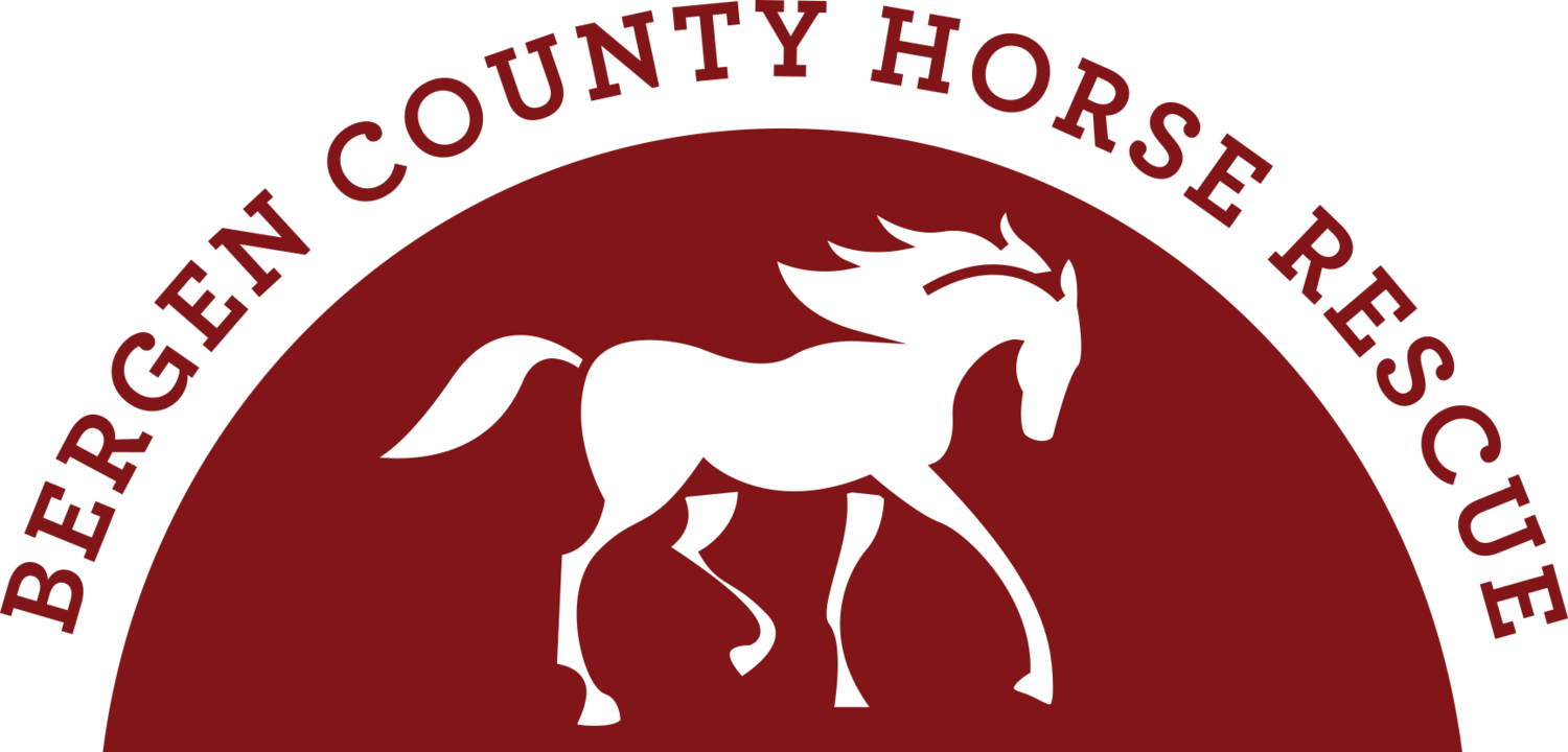 Bergen County Horse Rescue