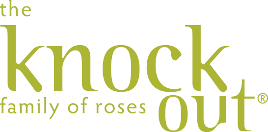 The Knock Out® Family of Roses