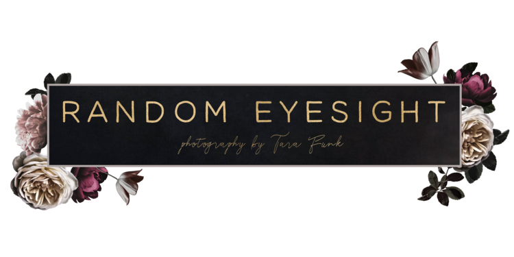 Random Eyesight Photography