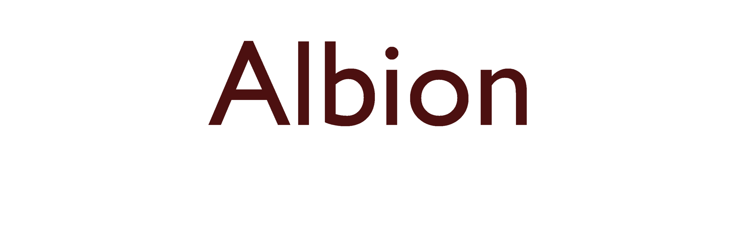 Albion Archaeology