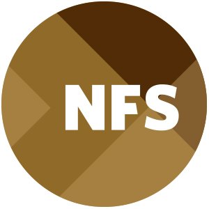 Nonprofit Financial Services