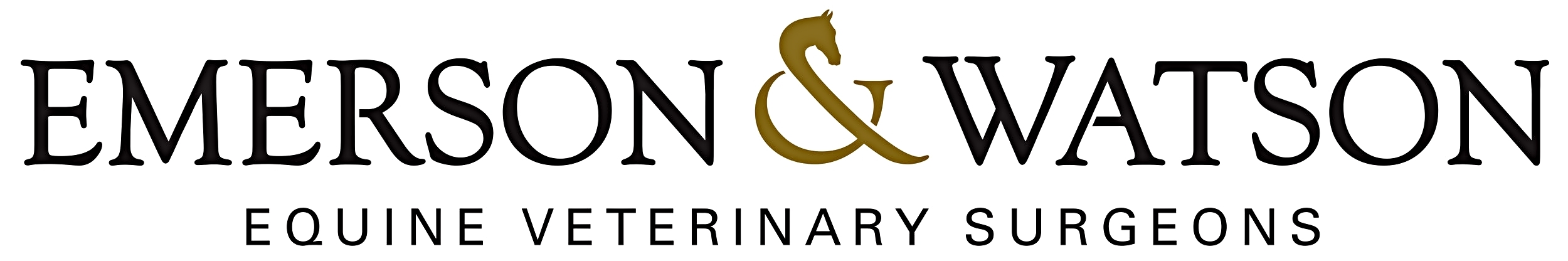 Emerson and Watson | Equine Vets | Polo | Berkshire