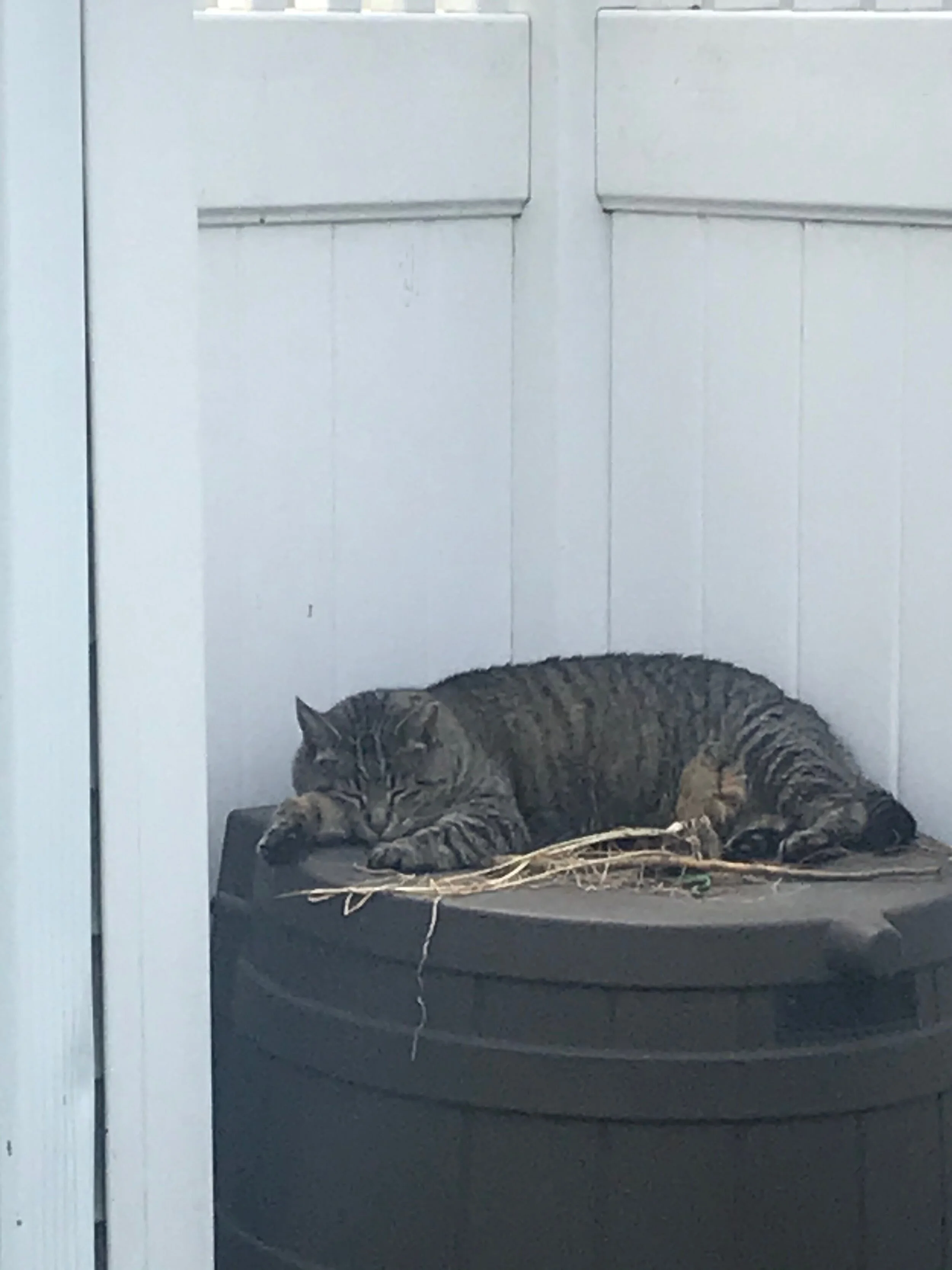 img_1048.jpeg.