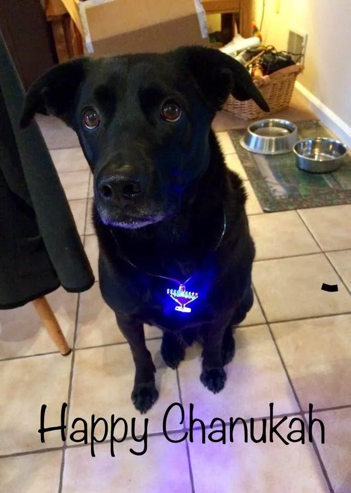 Happy Hanukkah.jpg.