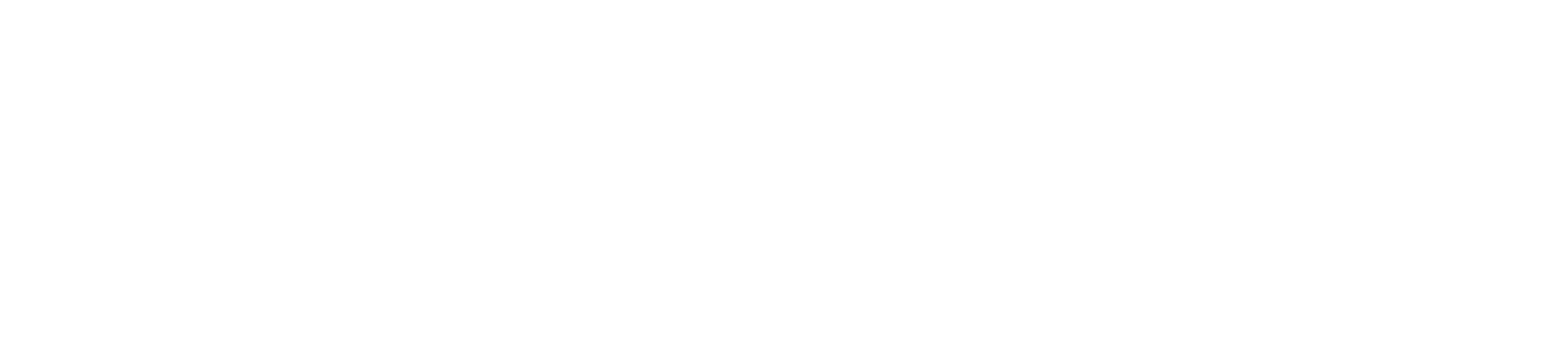 Laridium