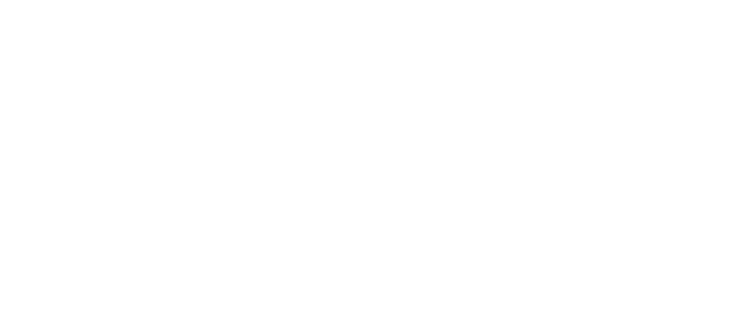 Anish Hotels Group