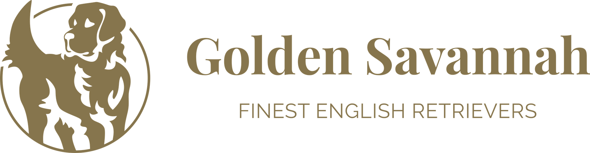 Golden Savannah - English Golden Retrievers