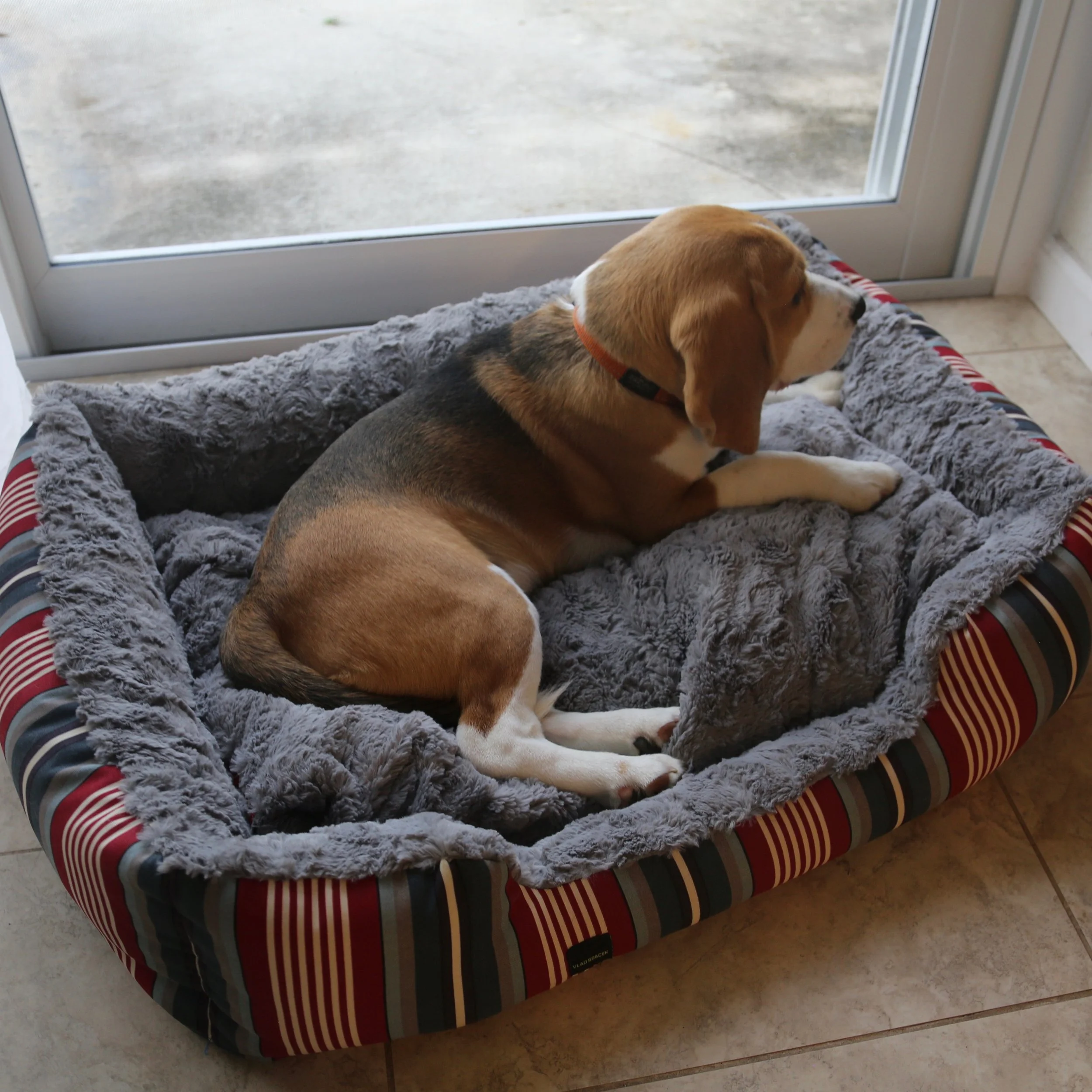 custom dog beds