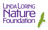 Linda Loring Nature Foundation