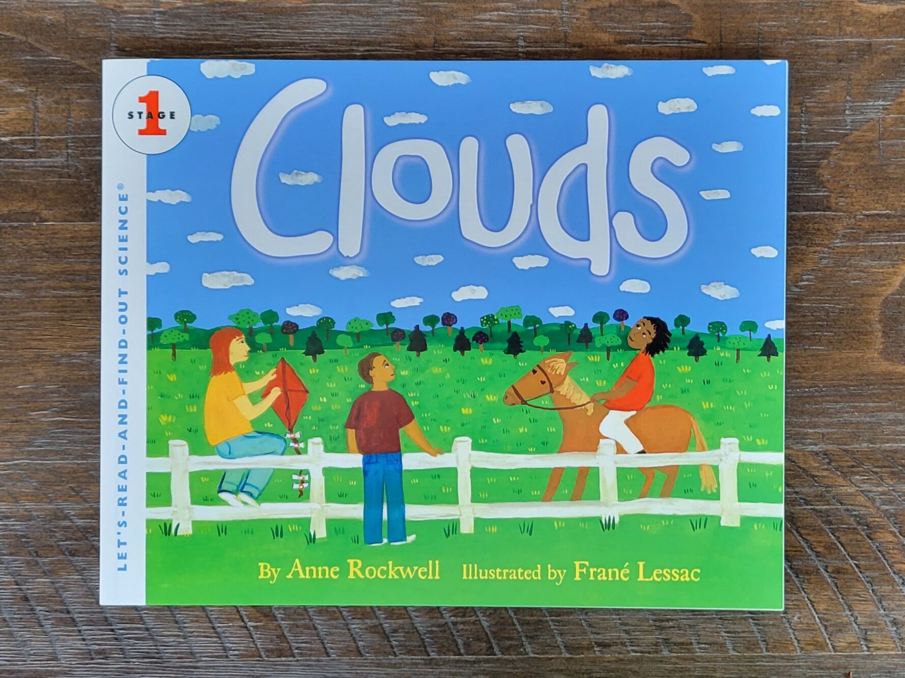 Let's Read and Find out Science: Clouds by Anne Rockwell — Hatching Curiosity Let's Read and Find out Science: Clouds by Anne Rockwell — Hatching Curiosity