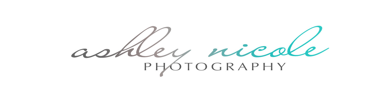 Ashley Nicole Photography : Virginia Wedding Photographer