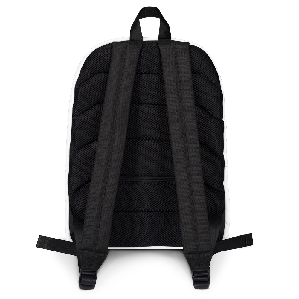 back of backpack