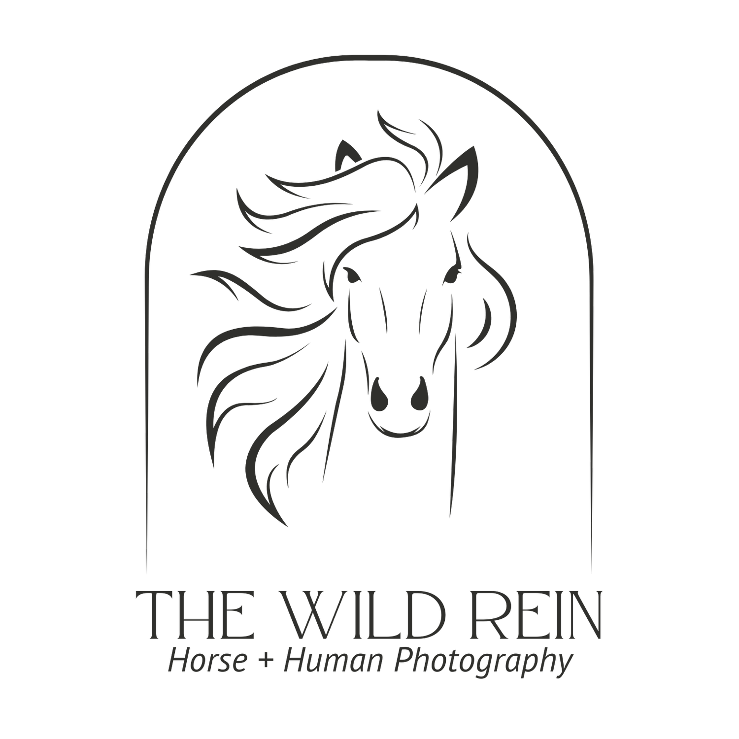 The Wild Rein