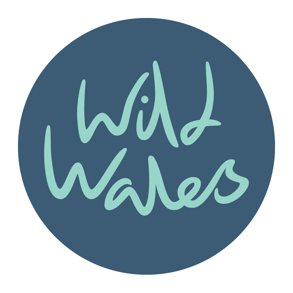 Wild Wales Retreats