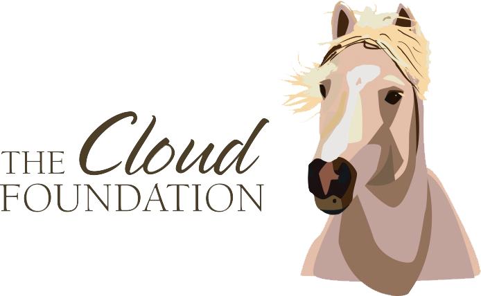 The Cloud Foundation