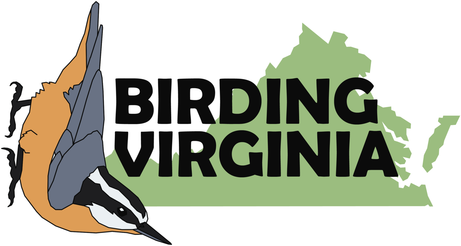Birding Virginia