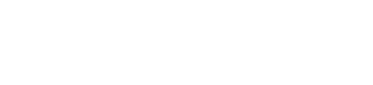 Ganes Pharma Inc.