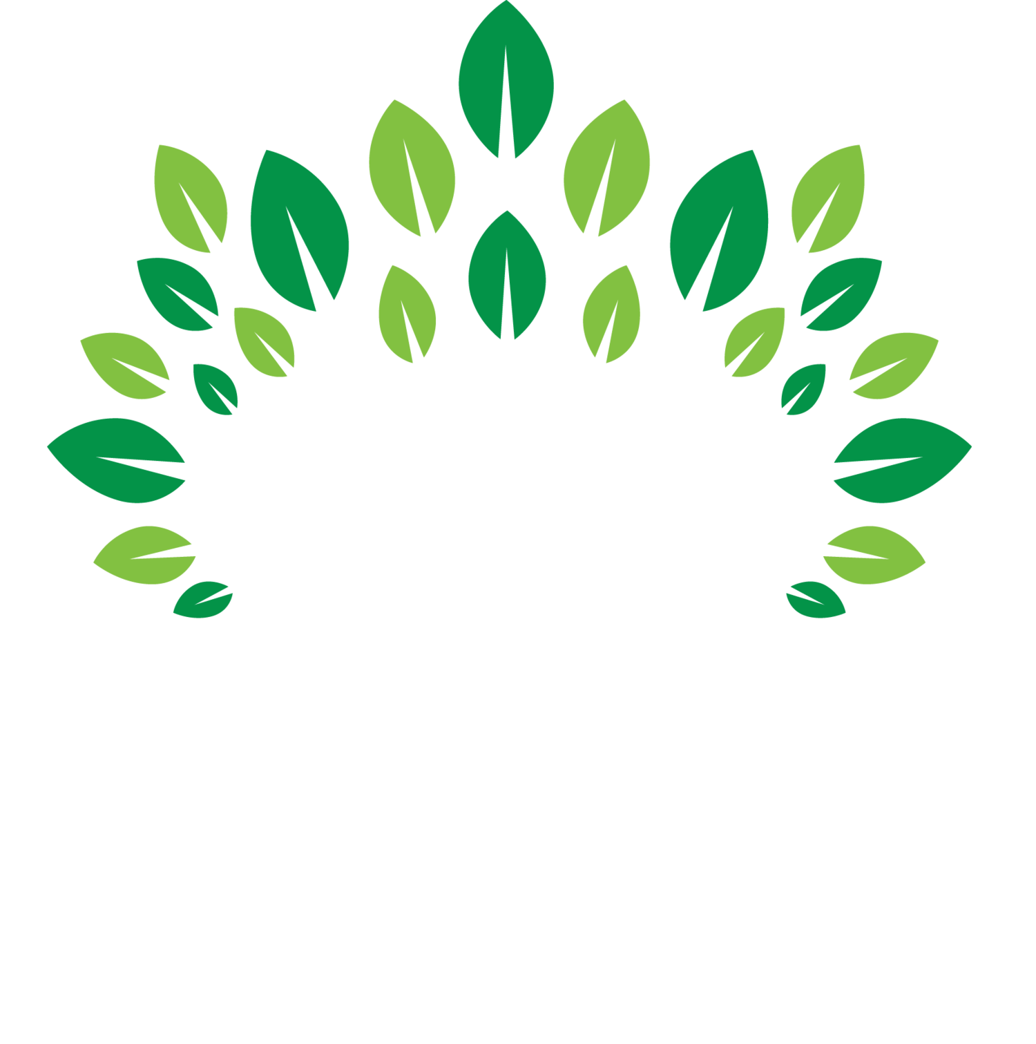 Hoosic Valley Education Foundation